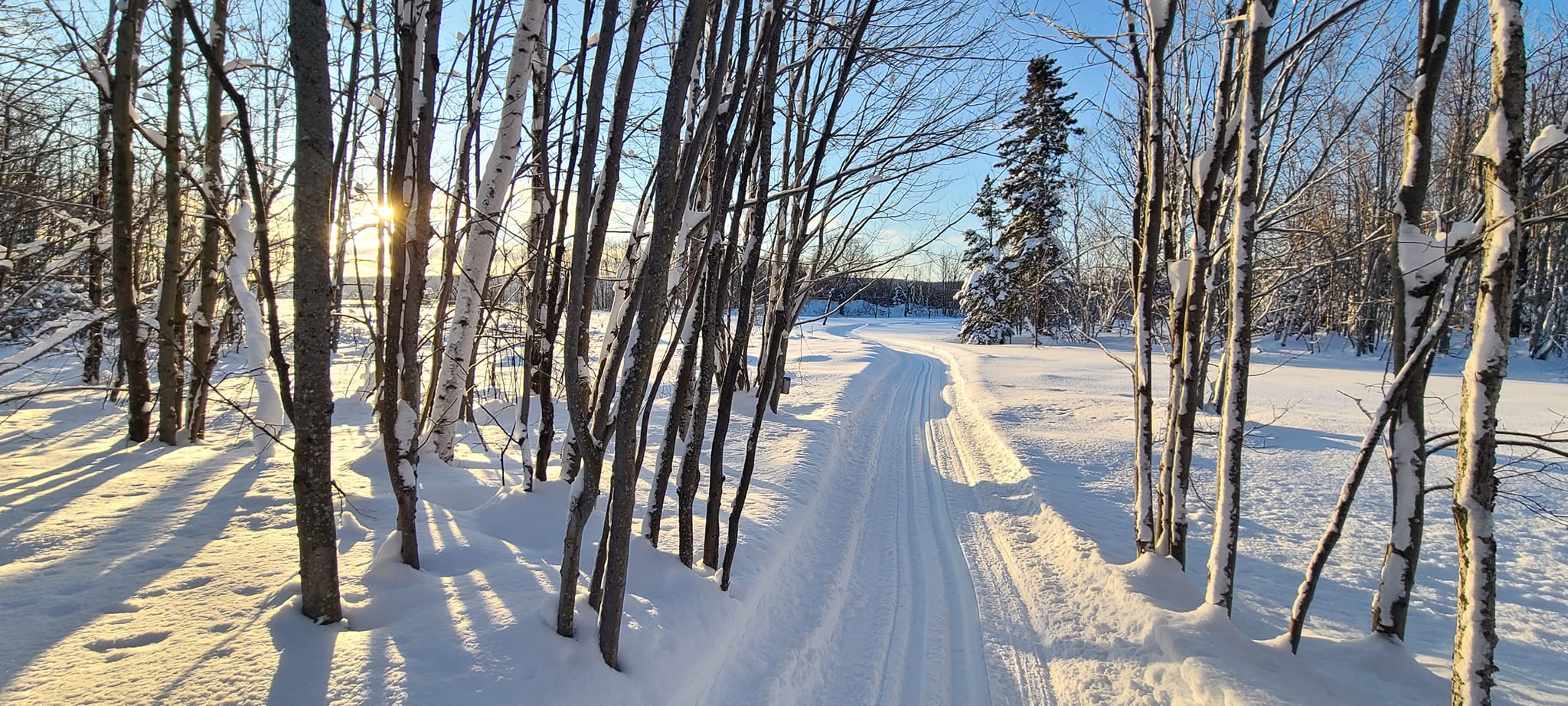 Accueil Municipalité de PointeàlaCroix