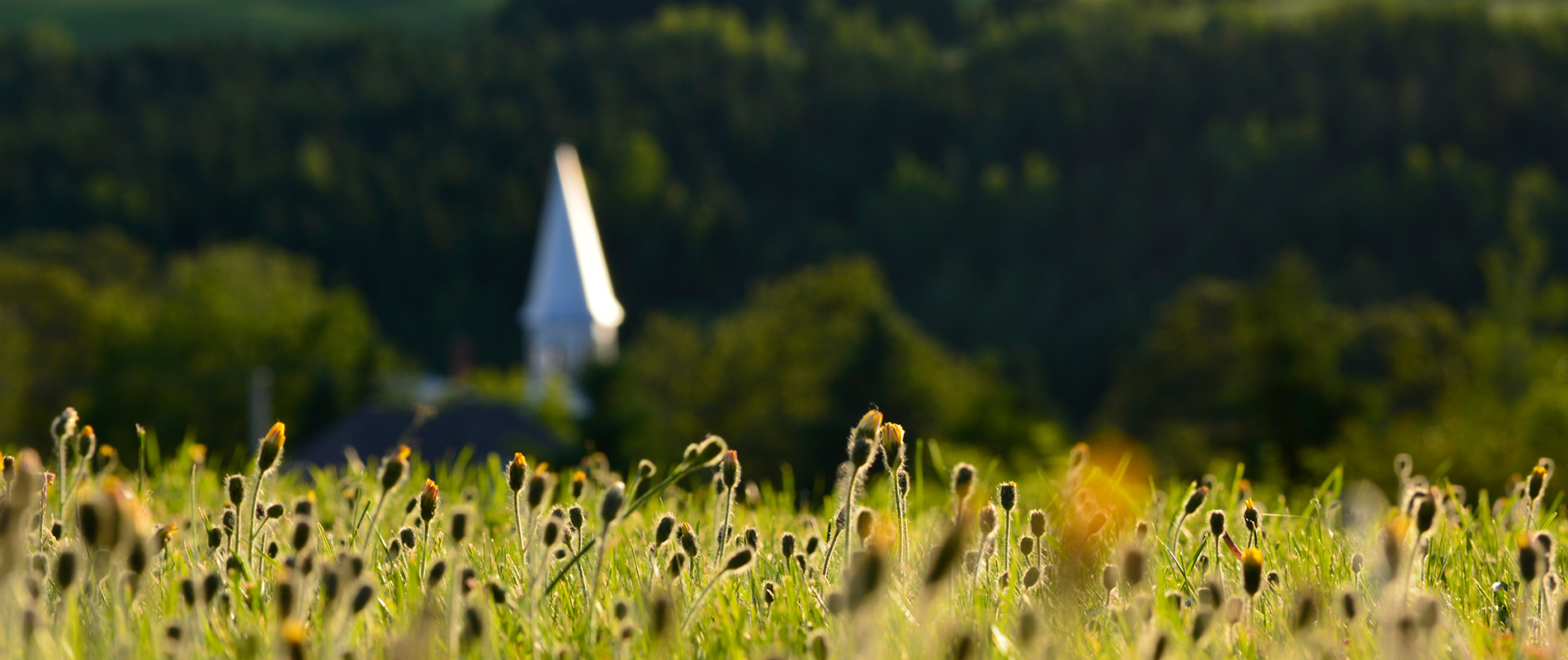 Accueil Municipalité de SaintSimonlesMines