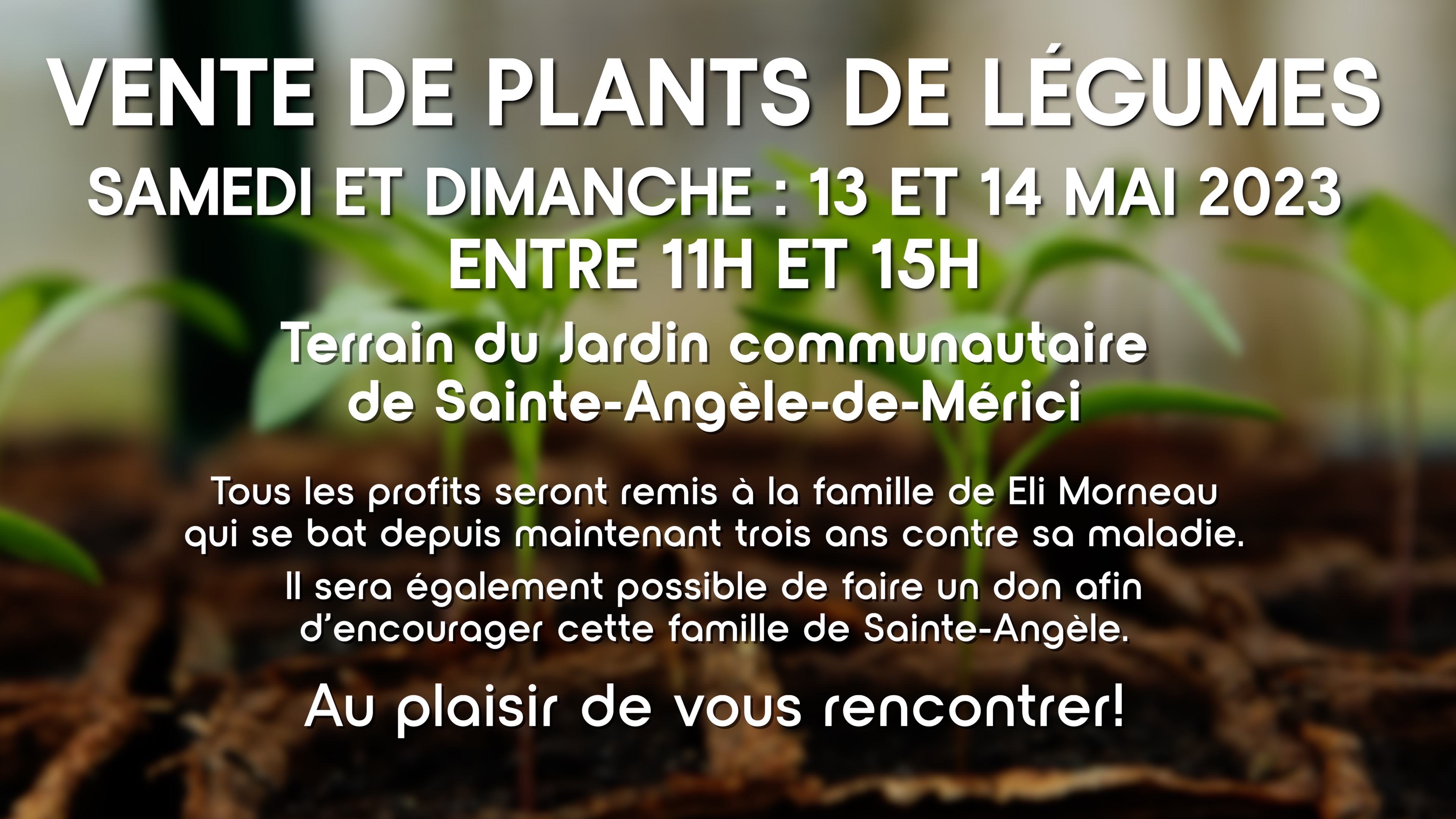 VENTE DE PLANTS DE LÉGUMES Municipalité de SainteAngèledeMérici